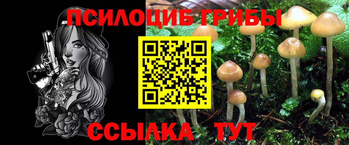 Галлюциногенные грибы Magic Shrooms  Псилоцибиновые грибы ЛСД  Можайск  Вход с VPN 